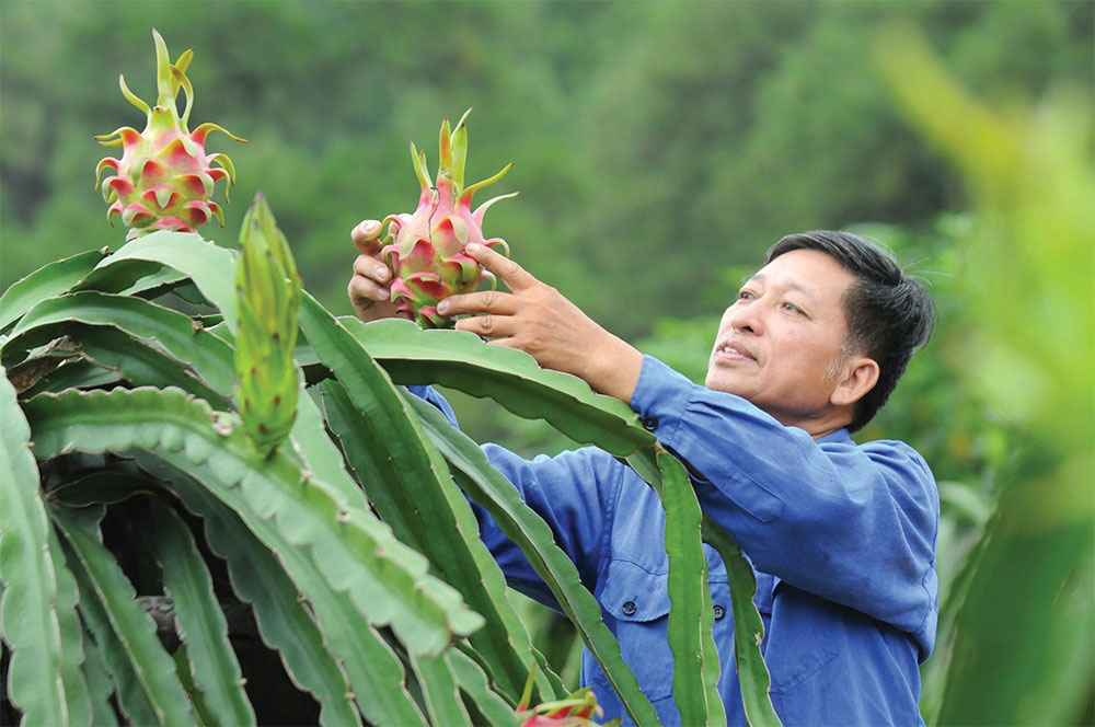 Vietnam's exports of fruits and vegetables strive to hit $5 billion